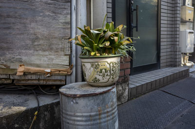 Potted plant in the streets of tokyo