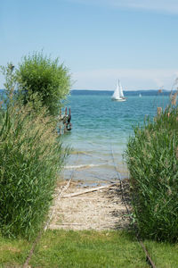 Scenic view of sea against sky