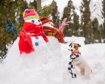 Portrait of woman with dog on snow covered field