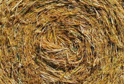 Full frame shot of hay