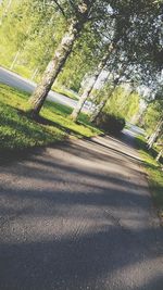 Road amidst trees against sky