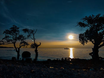 Silhouette tree on beach against sky during sunset