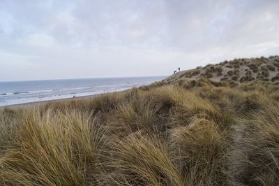 View of beach against cloudy sky