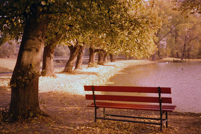 Bench in park during autumn