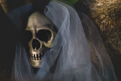 Close-up of human skull and veil on field at night