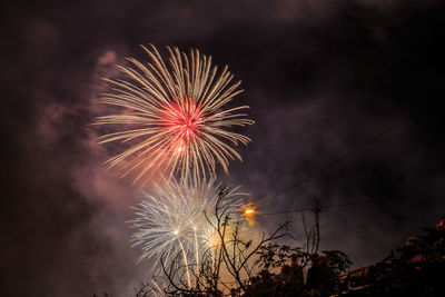 Low angle view of firework display at night