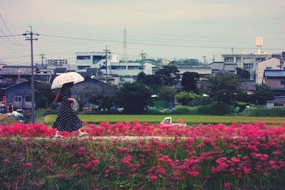 View of flowering plants in city against sky