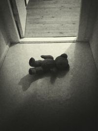 toy
