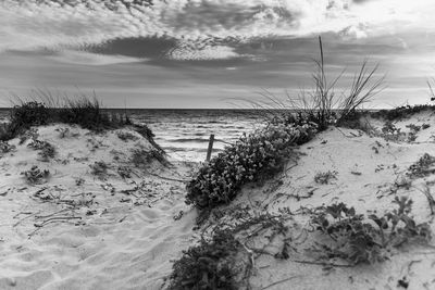 Scenic view of beach against sky