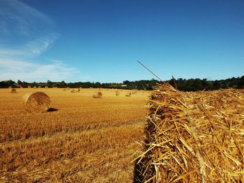 Scenic view of field against cloudy sky