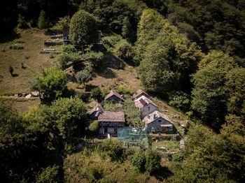 High angle view of trees and houses in forest