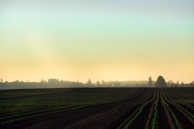 Scenic view of agricultural field against sky during sunset