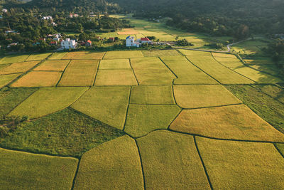 High angle view of agricultural field