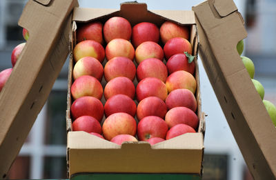 Close-up of fruits in box