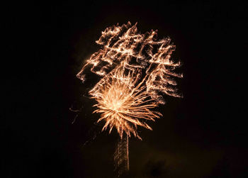 Firework display at night