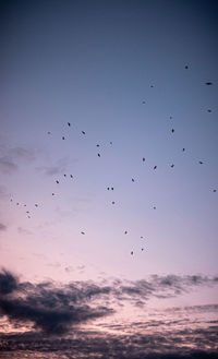 Low angle view of birds flying in sky