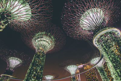 Low angle view of illuminated plants at night