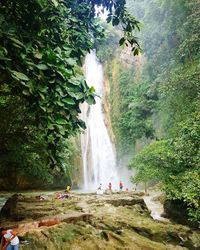 Scenic view of waterfall in forest