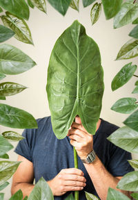 Man holding green leaves