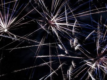 Low angle view of firework display against sky at night