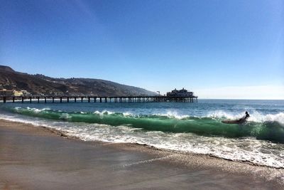 Scenic view of beach against clear blue sky