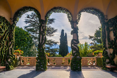 Trees outside temple against building