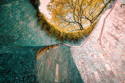 Low angle view of staircase amidst trees during autumn