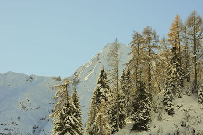 Scenic view of snowcapped mountains against clear sky