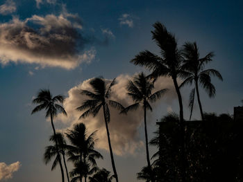 Low angle view of silhouette palm trees against sky during sunset