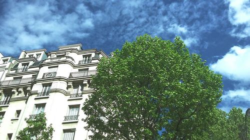 Low angle view of tree against cloudy sky