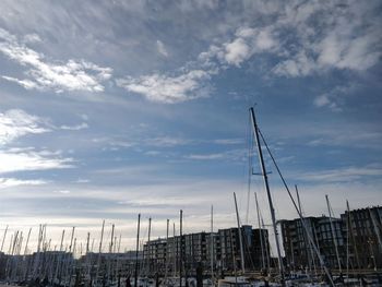 Sailboats moored at harbor against sky