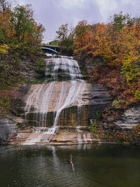 Scenic view of waterfall in forest