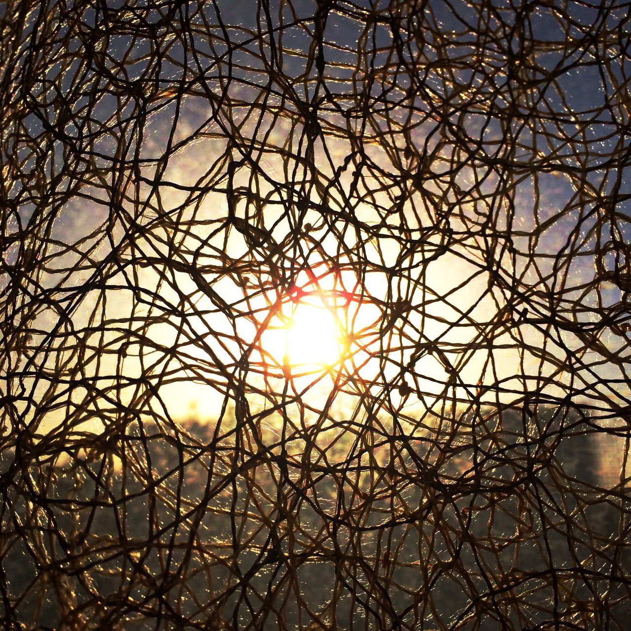 low angle view, sun, full frame, backgrounds, ceiling, pattern, metal, sky, silhouette, sunlight, bare tree, indoors, built structure, lens flare, sunbeam, no people, design, metallic, directly below, geometric shape