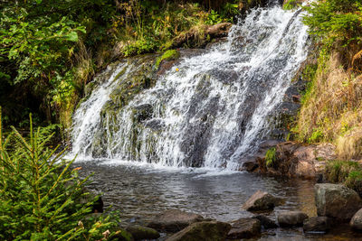 Scenic view of waterfall in forest