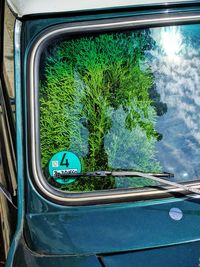 Reflection of trees on road