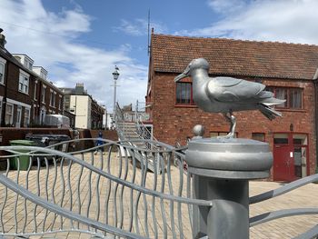 Pigeon on railing against buildings