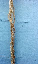 Close-up of plant against blue water