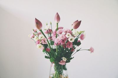 Close-up of pink flower vase against white background