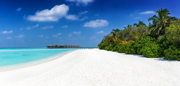 Scenic view of beach