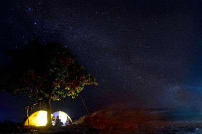 Low angle view of illuminated tree against sky at night