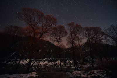 Bare trees on landscape against sky at night