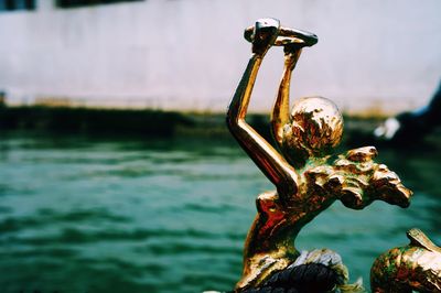 Close-up of plant against blurred background