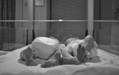 New born twins in hospital bassinet