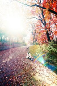 Scenic view of multi colored trees against sky during sunset
