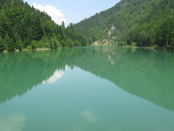 Scenic view of lake by trees against sky