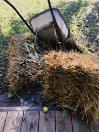 Grass in boat