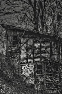 Abandoned building and bare trees