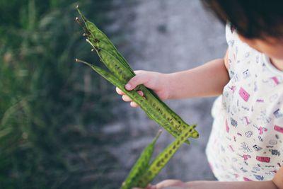 Child holding plant pod