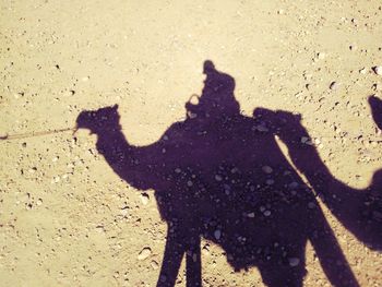 Shadow of man on wall