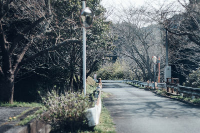 Street amidst trees and plants in city